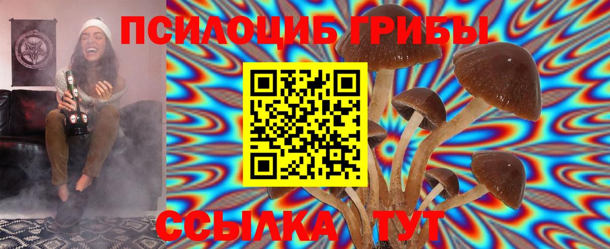 Орехово-Зуево  как найти закладки  Вход с VPN  Псилоцибиновые грибы GOLDEN TEACHER 