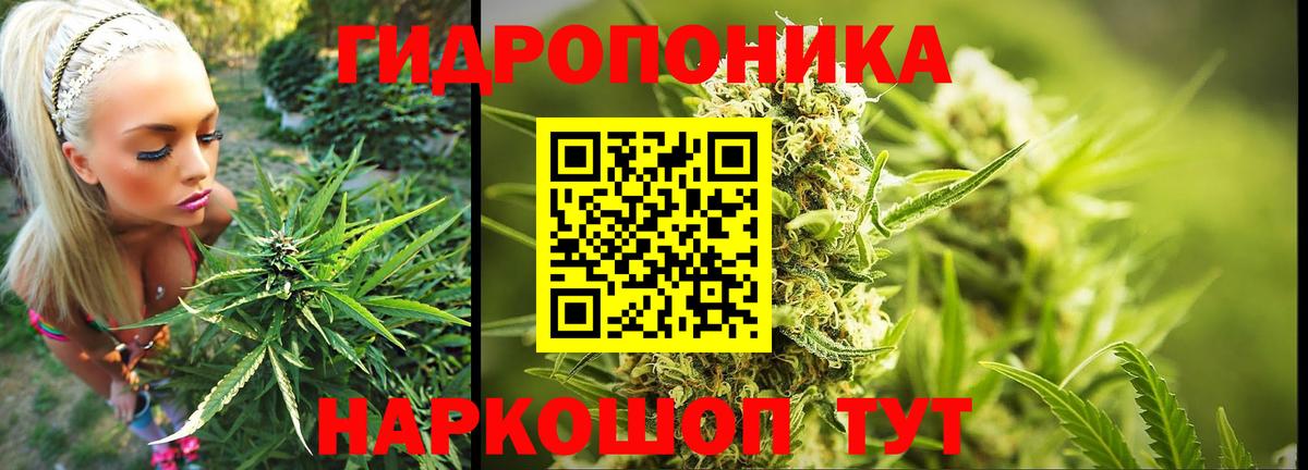 Конопля White Widow Орехово-Зуево